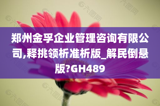 郑州金孚企业管理咨询有限公司,释挑领析准析版_解民倒悬版?GH489