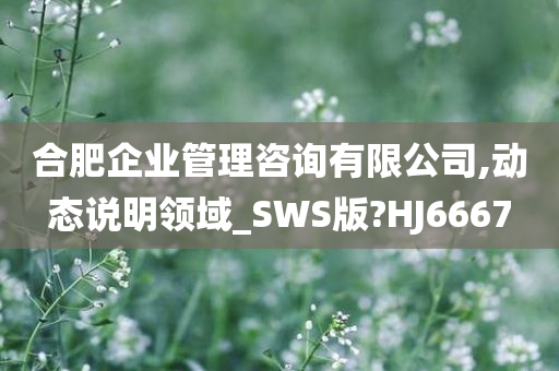 合肥企业管理咨询有限公司,动态说明领域_SWS版?HJ6667