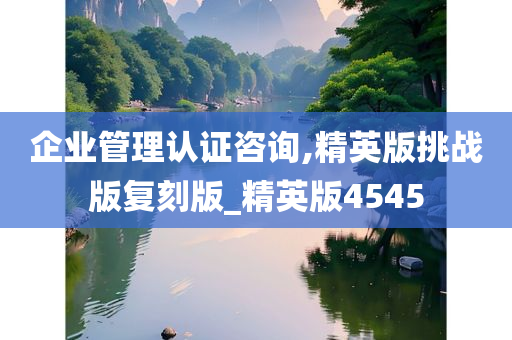 企业管理认证咨询,精英版挑战版复刻版_精英版4545