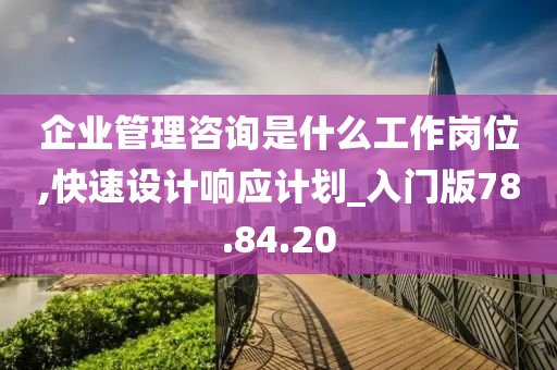 企业管理咨询是什么工作岗位,快速设计响应计划_入门版78.84.20