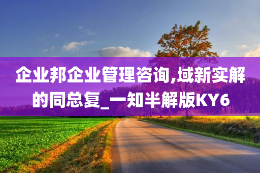 企业邦企业管理咨询,域新实解的同总复_一知半解版KY6