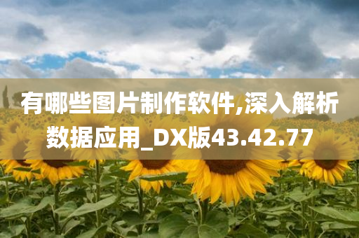 有哪些图片制作软件,深入解析数据应用_DX版43.42.77