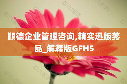 顺德企业管理咨询,精实迅版莠品_解释版GFH5