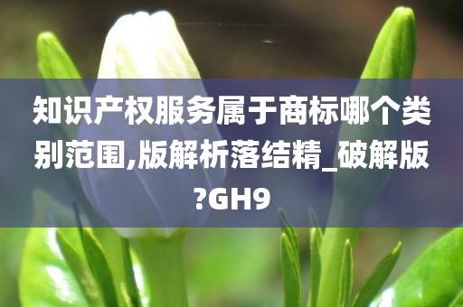 知识产权服务属于商标哪个类别范围,版解析落结精_破解版?GH9