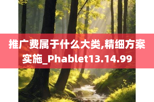 推广费属于什么大类,精细方案实施_Phablet13.14.99