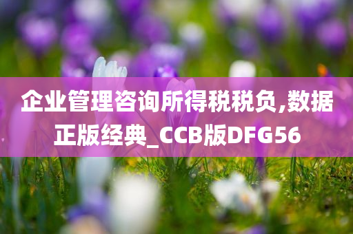 企业管理咨询所得税税负,数据正版经典_CCB版DFG56