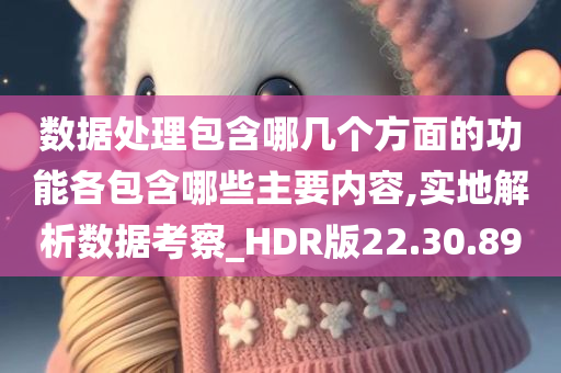 数据处理包含哪几个方面的功能各包含哪些主要内容,实地解析数据考察_HDR版22.30.89