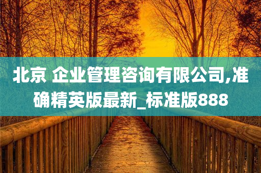 北京 企业管理咨询有限公司,准确精英版最新_标准版888