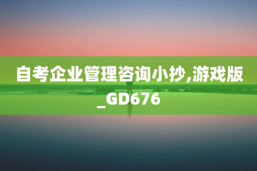 自考企业管理咨询小抄,游戏版_GD676