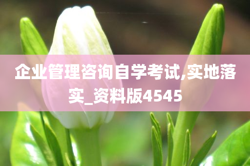 企业管理咨询自学考试,实地落实_资料版4545