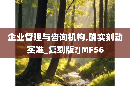 企业管理与咨询机构,确实刻动实准_复刻版?JMF56