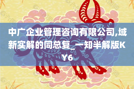 中广企业管理咨询有限公司,域新实解的同总复_一知半解版KY6