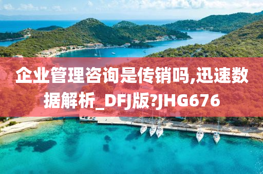 企业管理咨询是传销吗,迅速数据解析_DFJ版?JHG676