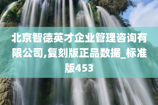 北京智德英才企业管理咨询有限公司,复刻版正品数据_标准版453