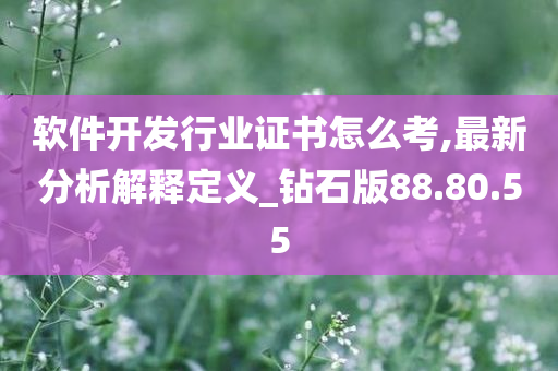 软件开发行业证书怎么考,最新分析解释定义_钻石版88.80.55