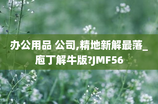 办公用品 公司,精地新解最落_庖丁解牛版?JMF56