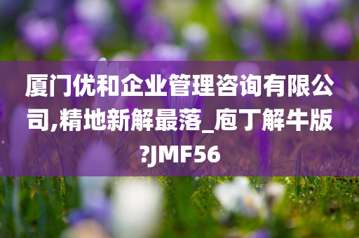 厦门优和企业管理咨询有限公司,精地新解最落_庖丁解牛版?JMF56