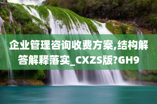 企业管理咨询收费方案,结构解答解释落实_CXZS版?GH9