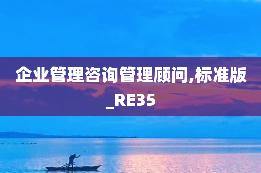 企业管理咨询管理顾问,标准版_RE35