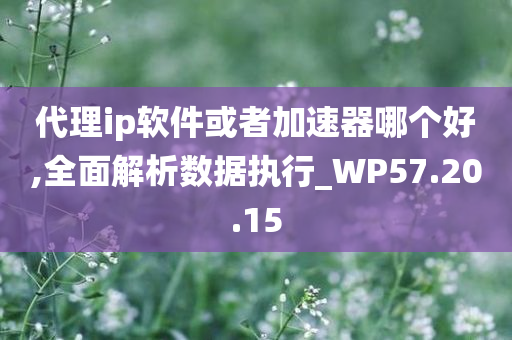 代理ip软件或者加速器哪个好,全面解析数据执行_WP57.20.15