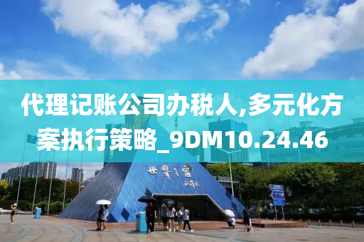 代理记账公司办税人,多元化方案执行策略_9DM10.24.46