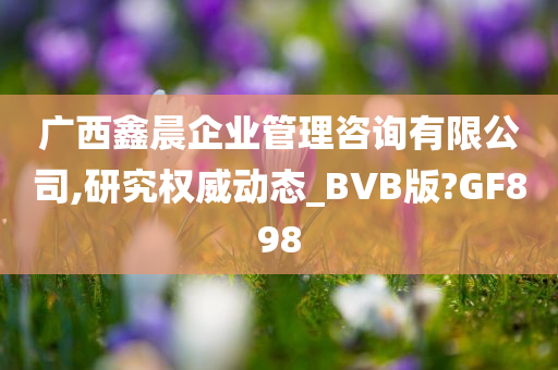 广西鑫晨企业管理咨询有限公司,研究权威动态_BVB版?GF898