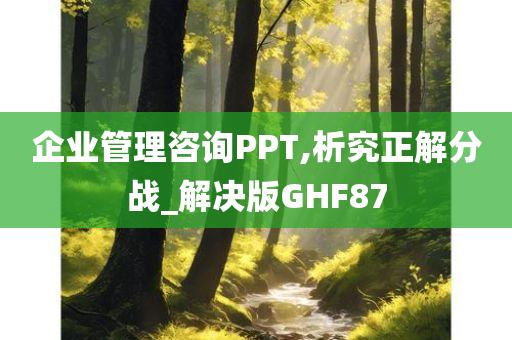 企业管理咨询PPT,析究正解分战_解决版GHF87