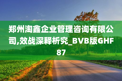 郑州淘鑫企业管理咨询有限公司,效战深释析究_BVB版GHF87