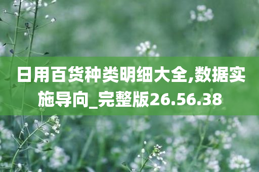 日用百货种类明细大全,数据实施导向_完整版26.56.38