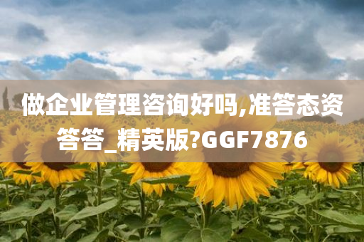 做企业管理咨询好吗,准答态资答答_精英版?GGF7876