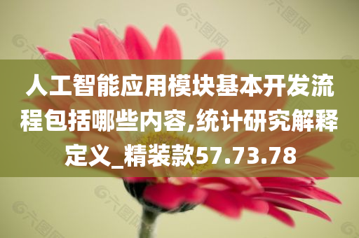 人工智能应用模块基本开发流程包括哪些内容,统计研究解释定义_精装款57.73.78