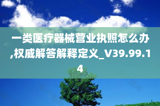 一类医疗器械营业执照怎么办,权威解答解释定义_V39.99.14