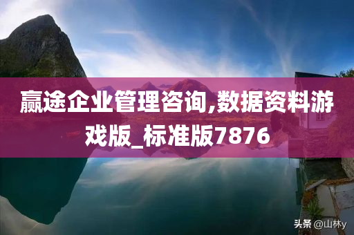 赢途企业管理咨询,数据资料游戏版_标准版7876