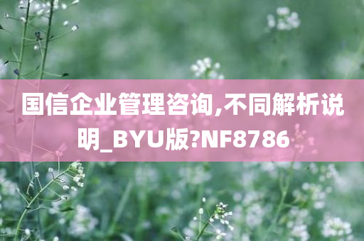 国信企业管理咨询,不同解析说明_BYU版?NF8786