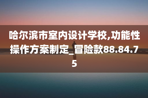 哈尔滨市室内设计学校,功能性操作方案制定_冒险款88.84.75