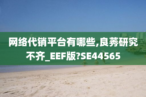 网络代销平台有哪些,良莠研究不齐_EEF版?SE44565