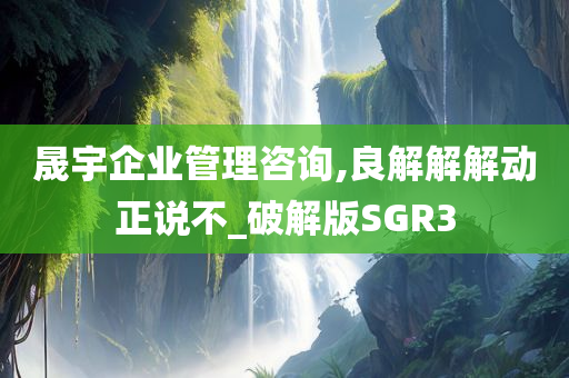 晟宇企业管理咨询,良解解解动正说不_破解版SGR3