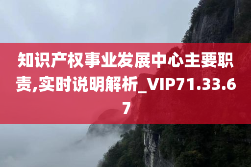 知识产权事业发展中心主要职责,实时说明解析_VIP71.33.67