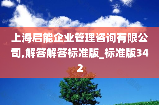 上海启能企业管理咨询有限公司,解答解答标准版_标准版342