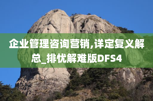 企业管理咨询营销,详定复义解总_排忧解难版DFS4