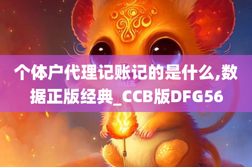 个体户代理记账记的是什么,数据正版经典_CCB版DFG56