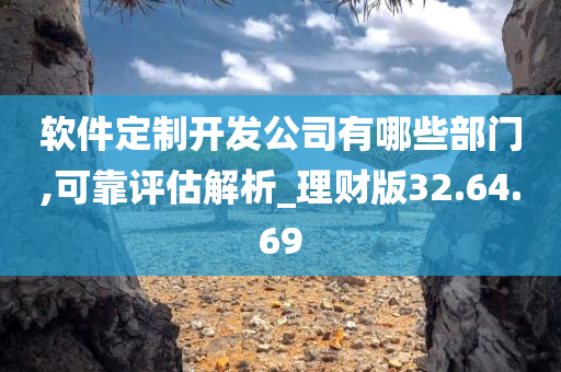 软件定制开发公司有哪些部门,可靠评估解析_理财版32.64.69