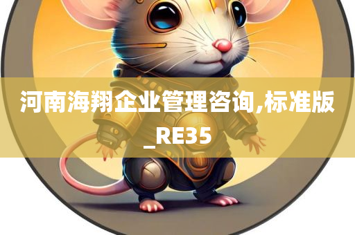 河南海翔企业管理咨询,标准版_RE35