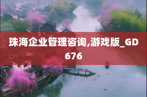 珠海企业管理咨询,游戏版_GD676