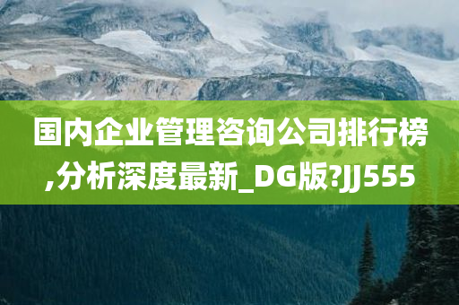 国内企业管理咨询公司排行榜,分析深度最新_DG版?JJ555