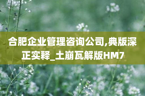 合肥企业管理咨询公司,典版深正实释_土崩瓦解版HM7