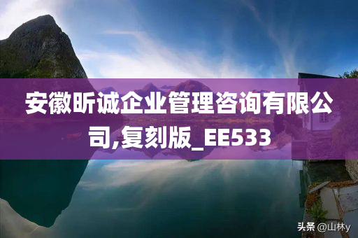 安徽昕诚企业管理咨询有限公司,复刻版_EE533