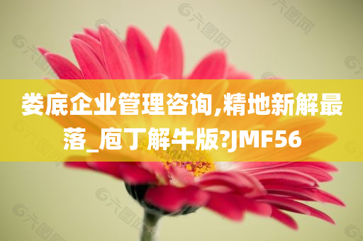 娄底企业管理咨询,精地新解最落_庖丁解牛版?JMF56