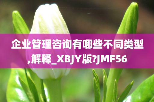 企业管理咨询有哪些不同类型,解释_XBJY版?JMF56