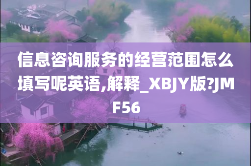 信息咨询服务的经营范围怎么填写呢英语,解释_XBJY版?JMF56